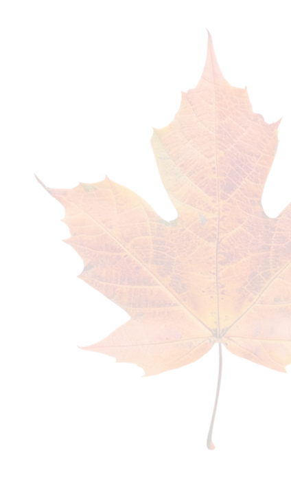 leaf