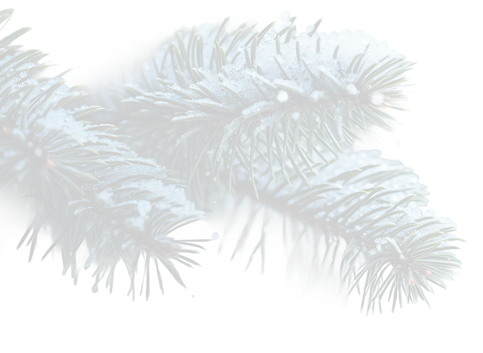 tree-snow